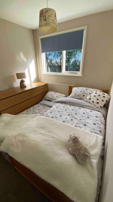 Cheerful 3 Bedroom Bungalow With Indoor Fire Place Gloucester Exterior photo